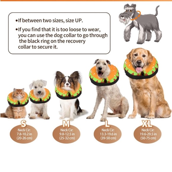 Dog/Cat Protective Hamburger Cone - Picture 3 of 3